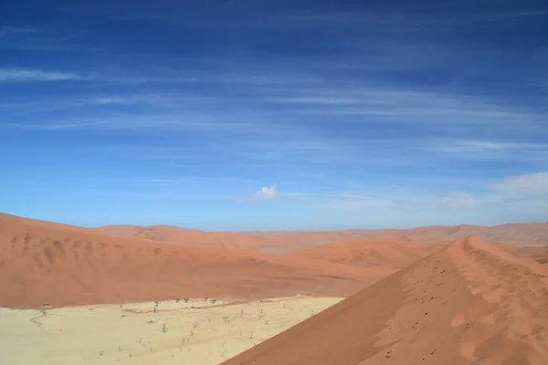 Paisaje Sereno Desierto Dorado Bajo Cielo Azul Claro Namibia — Foto de Stock