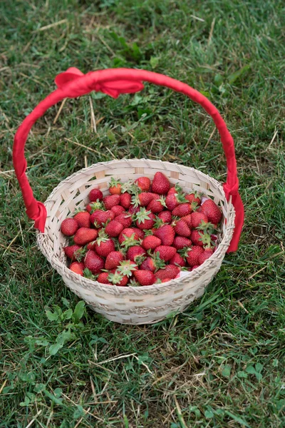 Sebuah Keranjang Stroberi Merah Segar Rumput — Stok Foto