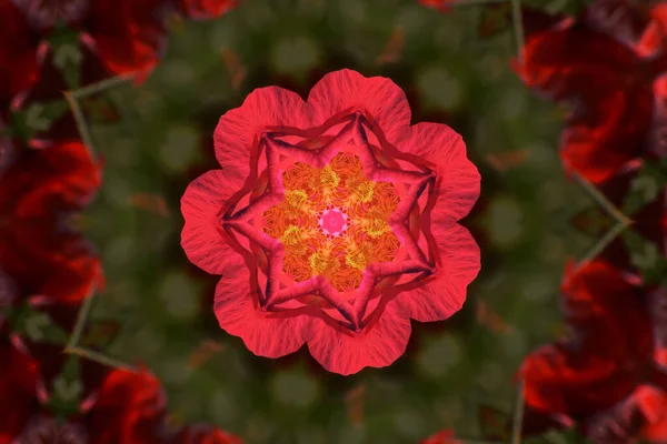 Яркий Рисунок Мандалы Розовым Цветком Размытом Зеленом Фоне — стоковое фото