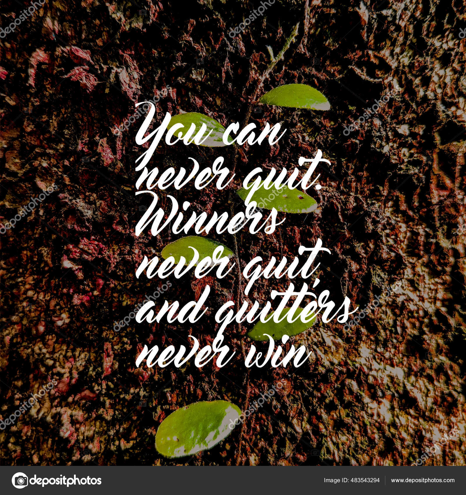 Trinx Ben Crawford Quote: Never quit on a bad day. | Wayfair, image size:1600x1700