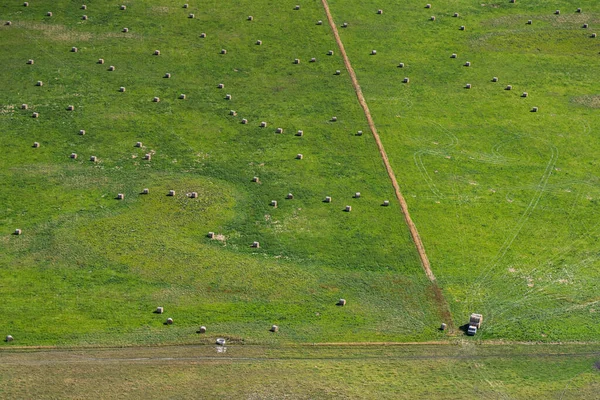 Flygfoto Över Jordbruksmark Landsbygden Bridport Tasmanien Australien — Stockfoto