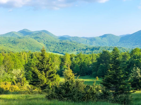 Bellissimo Paesaggio Montagnoso Verde Con Molti Alberi Sotto Cielo Luminoso — Foto Stock