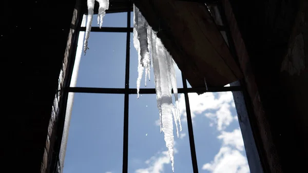 Eine Flache Aufnahme Hängender Eiszapfen Einem Fenster — Stockfoto