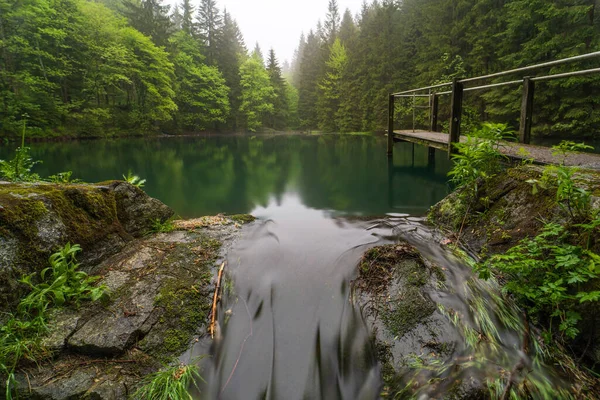 Una Hermosa Toma Lago Verde Bosque — Foto de Stock