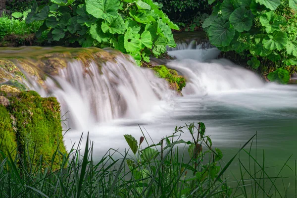 Malý Vodopád Stékající Řece Obklopený Stromy Trávou — Stock fotografie