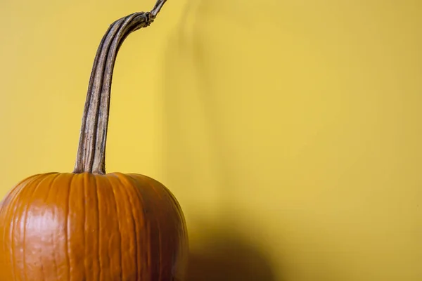 Primer Plano Una Calabaza Con Pared Amarilla Fondo — Foto de Stock