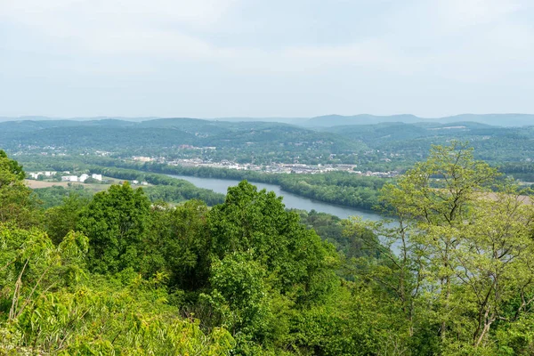 Una Vista Los Árboles Río Pueblo Naslavcea Moldavia — Foto de Stock