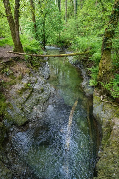 Μια Κάθετη Εικόνα Ενός Ποταμού Azhek Περιβάλλεται Φυσική Πέτρινη Σκάλα — Φωτογραφία Αρχείου