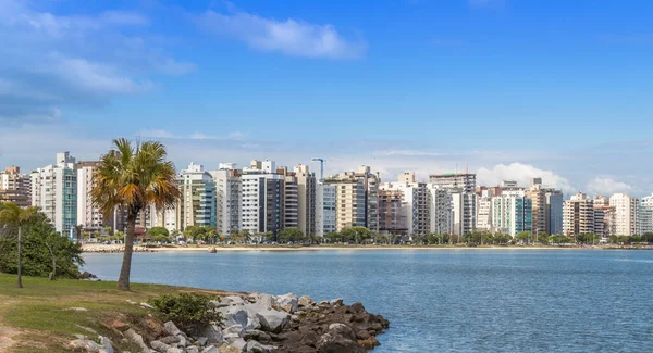 Красивый Вид Синее Море Окружении Пальм Зданий Бразильском Городе Санта — стоковое фото