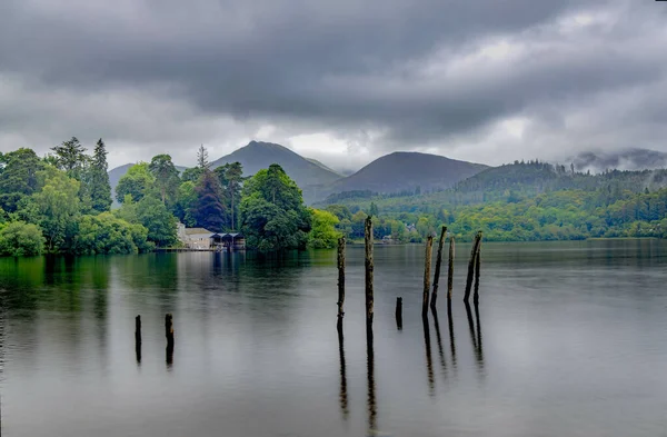 Primer Plano Postes Madera Sobresaliendo Lago Con Una Hermosa Vegetación — Foto de Stock