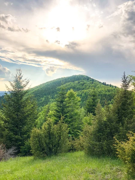 Uma Bela Paisagem Montanhosa Verde Com Muitas Árvores Sob Céu — Fotografia de Stock