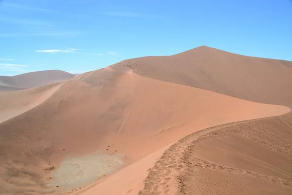 Een Rustig Landschap Van Een Woestijn Onder Een Heldere Blauwe — Stockfoto
