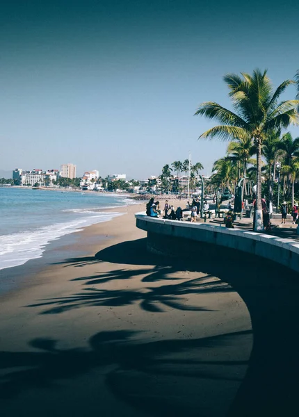 Een Strand Met Palmbomen Onder Blauwe Heldere Lucht — Stockfoto