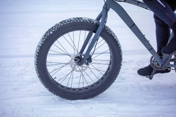 自行车前胎雪地里的一种厚重的前胎 部分可见骑自行车者的腿 — 图库照片