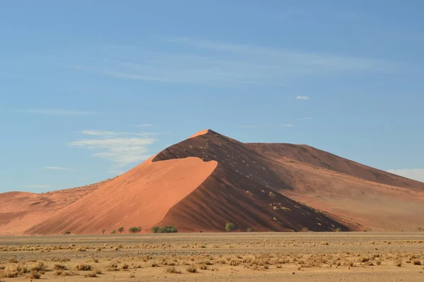 Paisaje Sereno Desierto Dorado Bajo Cielo Azul Claro Namibia — Foto de Stock