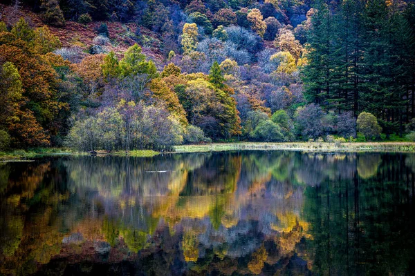 Una Vista Impresionante Los Árboles Otoño Reflejados Lago Tranquilo — Foto de Stock