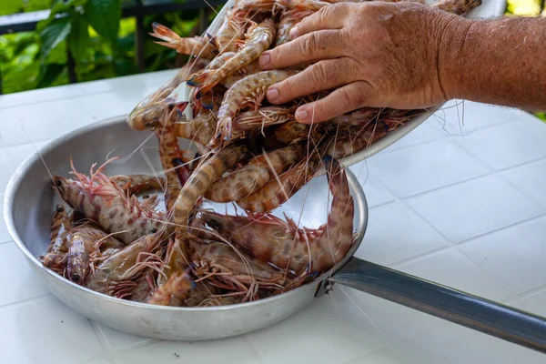 Homme Qui Ajoute Des Crevettes Poêle Crevettes Marines Adriatique Sauvage — Photo