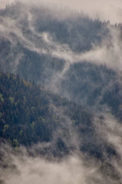 Una Splendida Vista Paesaggio Montuoso Con Verde Avvolto Nella Nebbia — Foto Stock