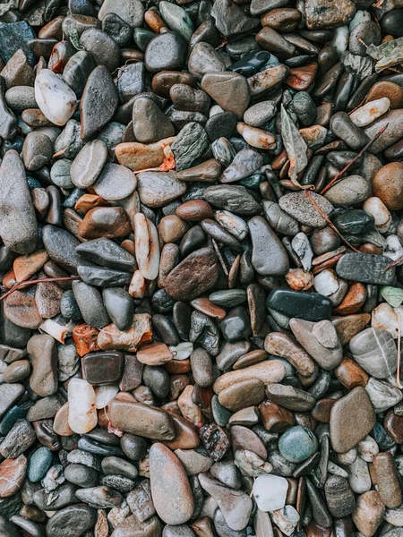 Eine Nahaufnahme Von Kleinen Felsen Strand — Stockfoto