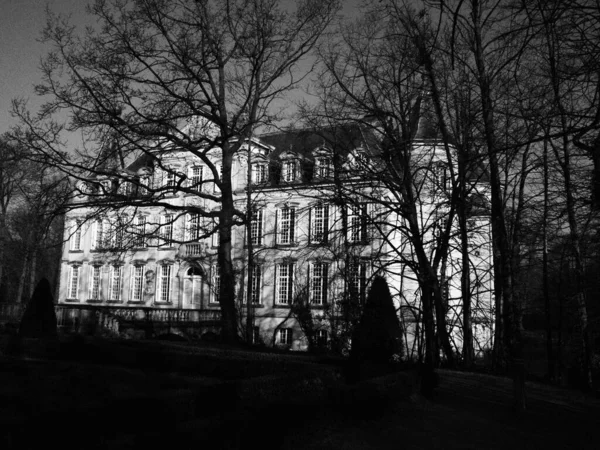 Grayscale Shot Old Historical Building Bare Trees Growing — Stock Photo, Image