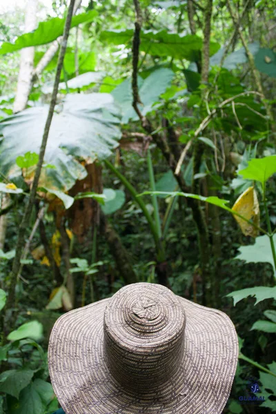 熱帯林の緑の植生に対する藁帽子の人の垂直ショット — ストック写真