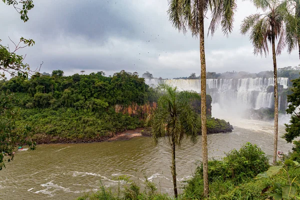 Ett Bra Skott Iguazu Faller National Park Cataratas Argentina — Stockfoto