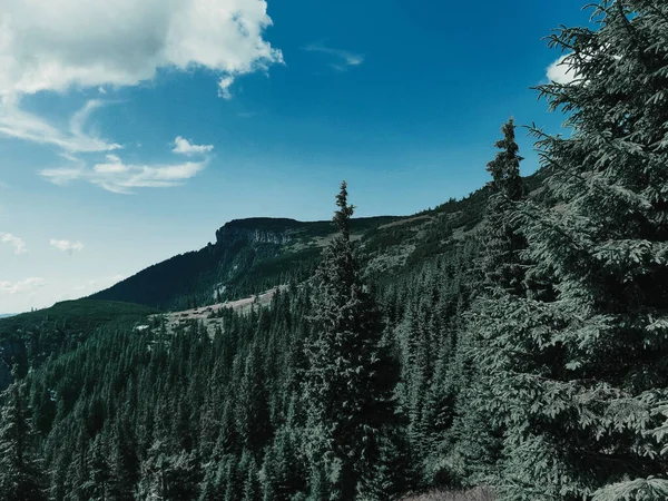 Les Montagnes Boisées Contre Ciel Bleu — Photo