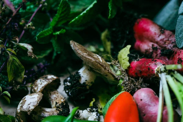 Primer Plano Verduras Cosecha Propia Después Una Cosecha — Foto de Stock