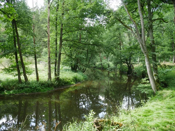 Une Belle Vue Sur Une Rivière Entourée Verdure Fraîche Dans — Photo