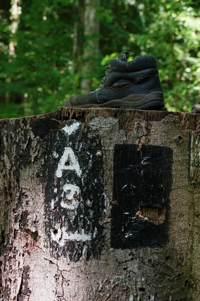 Zdjęcie Bliska Starego Buta Turystycznego Pniu Drzewa Pieszymi Znakami Drewnie — Zdjęcie stockowe