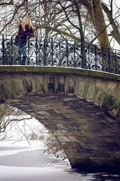 Karlı Bir Parkta Köprüde Duran Beyaz Bir Kadının Dikey Görüntüsü — Stok fotoğraf