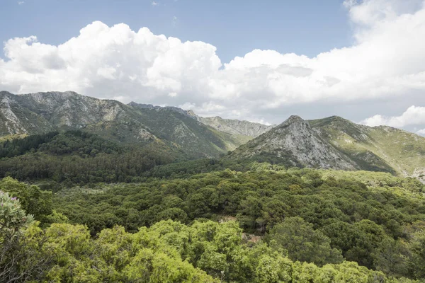 Живописный Вид Горы Сьерра Бланка Озиле Андалусия Испания Фоне Облачного — стоковое фото