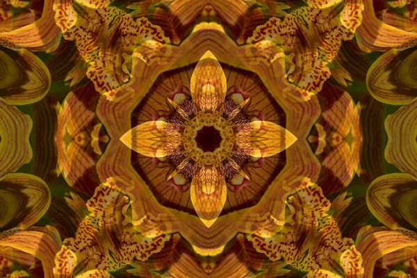 Яркая Мандала Цветочными Элементами — стоковое фото