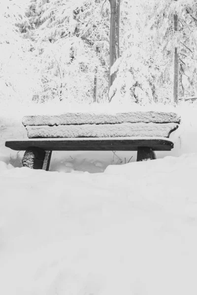 Ένα Κάθετο Πλάνο Ενός Παγκάκι Καλυμμένου Χιόνι Ένα Χιονισμένο Πάρκο — Φωτογραφία Αρχείου