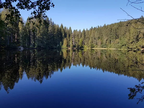 Hermoso Plano Lago Claro Rodeado Vegetación —  Fotos de Stock