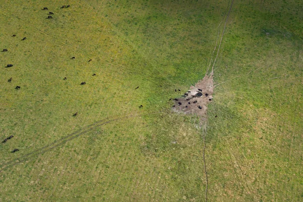 Вид Воздуха Сельскую Местность Бридпорте Тасмания Австралия — стоковое фото