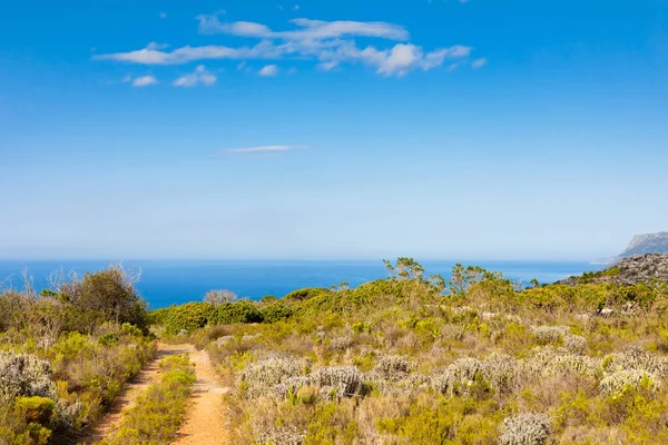 Dirt Track Hiking Paths Top Mountain Coast Cape Town — Stock Photo, Image