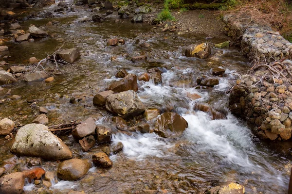 Córrego Que Flui Sobre Rochas Floresta Bariloche Argentina — Fotografia de Stock