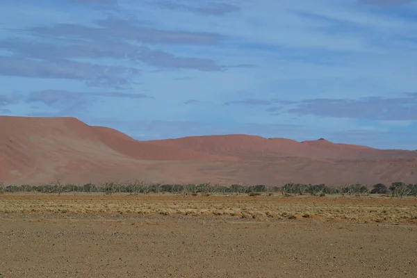 Uma Paisagem Deserto Dourado Sob Céu Nublado Namíbia — Fotografia de Stock