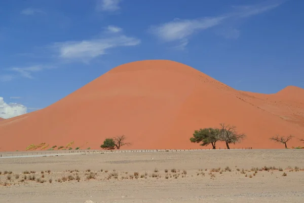 Uma Montanha Areia Dourada Deserto Namíbia África — Fotografia de Stock