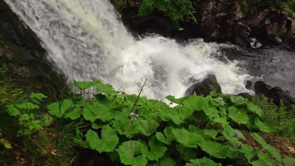 Hermosa Cascada Las Montañas — Vídeos de Stock