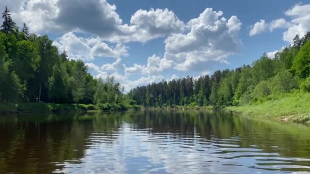 Nehir Ormanlı Güzel Bir Manzara — Stok video