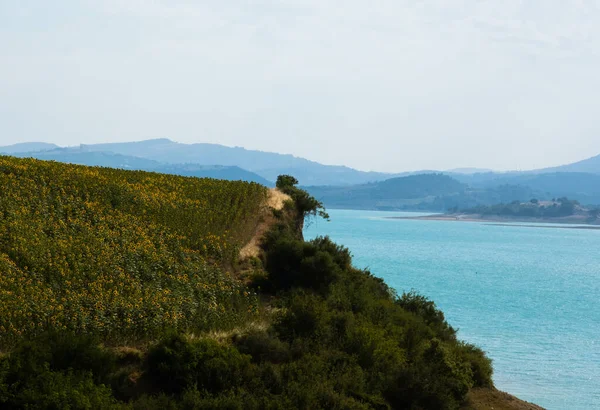 Türkiye Nin Mersin Kentindeki Kıyı Şeridi Yakınlarındaki Bir Tarım Alanının — Stok fotoğraf