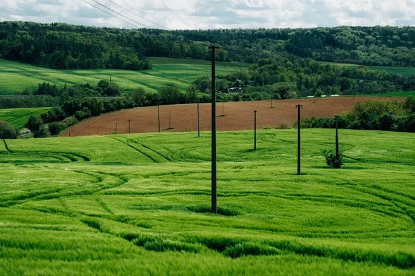 Ein Schöner Blick Auf Lebhafte Grüne Felder Und Bewaldete Hügel — Stockfoto