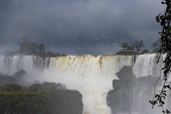 在阿根廷卡塔拉塔斯国家公园的伊瓜苏瀑布 一个漂亮的镜头 — 图库照片