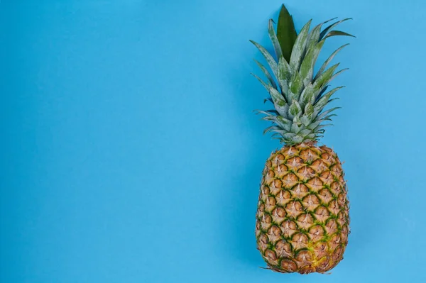 Plan Rapproché Ananas Sur Fond Bleu Vif — Photo