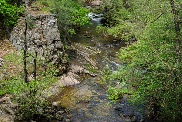 Een Close Beeld Van Een Stroom Van Rivier Omringd Door — Stockfoto