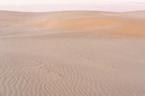 Dunas Areia Bridport Tasmânia Austrália — Fotografia de Stock