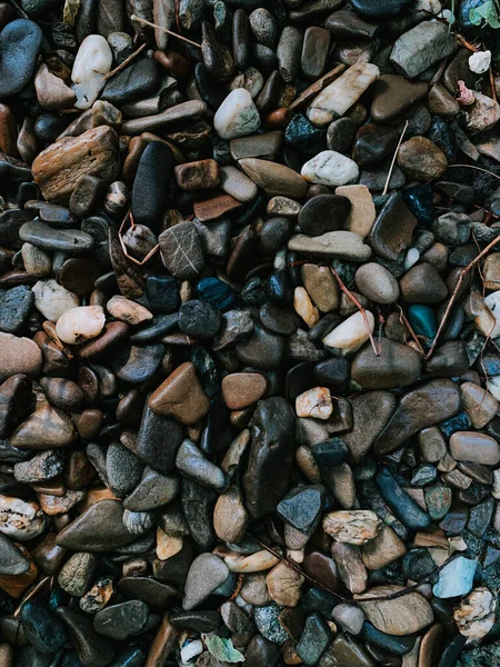 小さなぬれた小石の垂直ショット — ストック写真