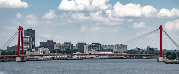 Una Bella Foto Ponte Willemsbrug Rotterdam Paesi Bassi — Foto Stock